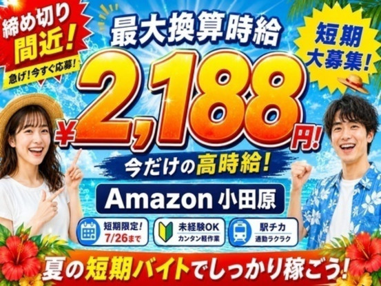 株式会社ワールドスタッフィング/51622_40687-00 画像1