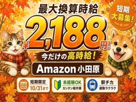 株式会社ワールドスタッフィング/63842_40687-00 画像1
