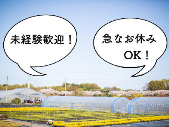 有限会社グリーンファームアンドウ 画像1