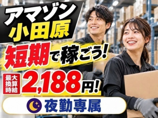 株式会社ワールドスタッフィング/51622_40687-02 画像1