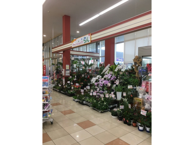 フラワーショップらん マックスバリュイオンタウン水島店のアルバイト パート求人情報 Joblist ジョブリスト 全国のアルバイト求人情報サイト