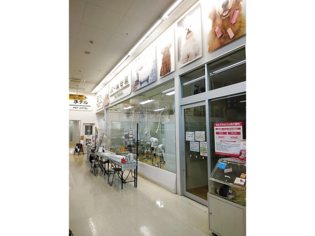 ペットショップアムレ 久里浜店のアルバイト パート求人情報 Joblist ジョブリスト 全国のアルバイト求人情報サイト