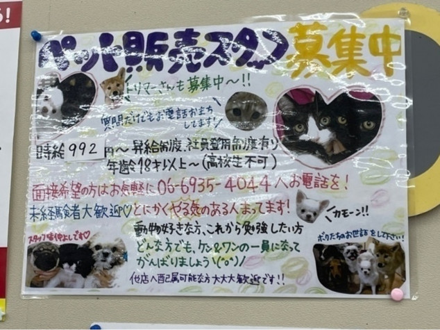 ペットプラザ ペットショップ ケン ワン 関目店のアルバイト パート求人情報 Joblist ジョブリスト 全国のアルバイト求人情報サイト