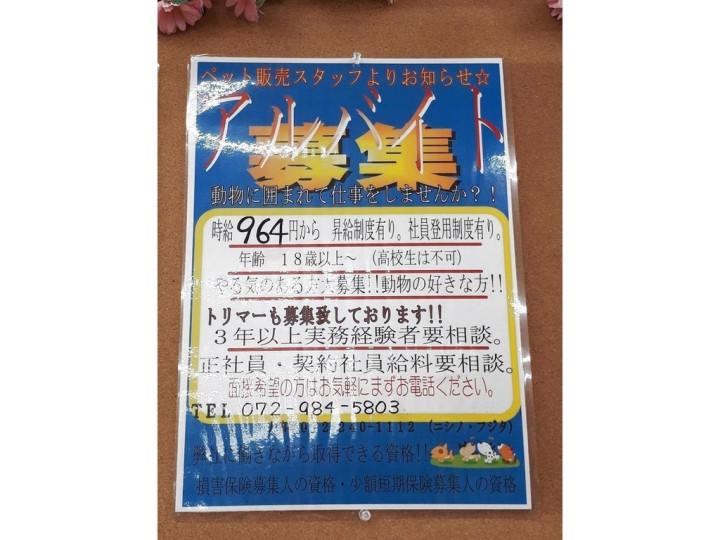 ペットショップ ケン ワン 外環新石切店のアルバイト パート求人情報 Joblist ジョブリスト スマホであつめる みんなの街の求人はり紙