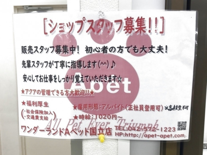 ペットショップ ワンダーランド 国立店のアルバイト パート求人情報 Joblist ジョブリスト スマホであつめる みんなの街の求人はり紙