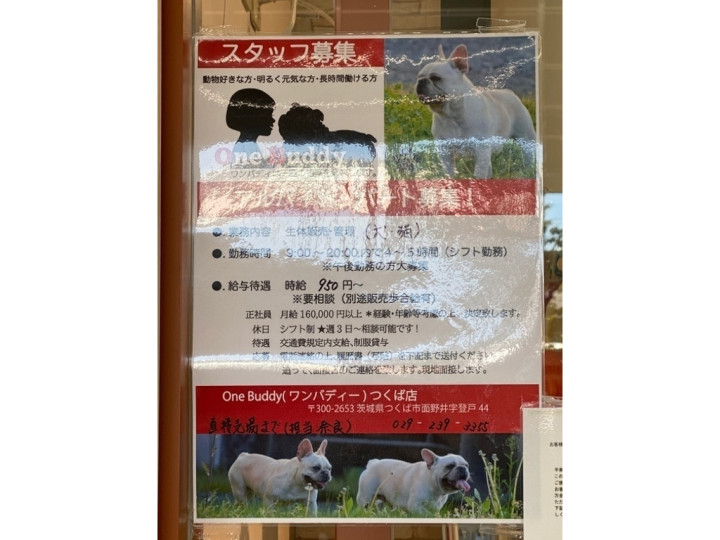 One Buddy ワンバディー トモニーつくば店のアルバイト パート求人情報 Joblist ジョブリスト スマホであつめる みんなの街の求人 はり紙