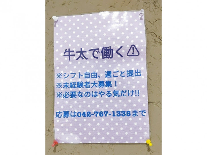 ザ ダイソー 相模大野ステーションスクエア店のアルバイト パート求人情報 Joblist ジョブリスト スマホであつめる みんなの街の求人はり紙