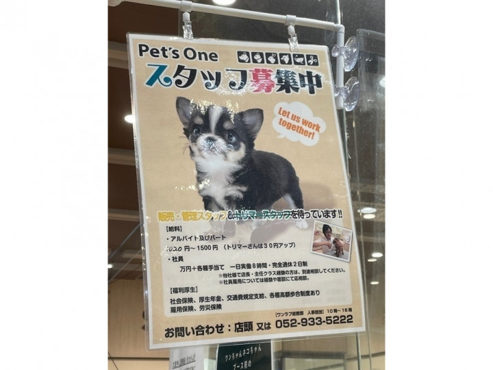 Pet S One ペッツワン カインズ町田多摩境店のアルバイト パート求人情報 Joblist ジョブリスト スマホであつめる みんなの街の 求人はり紙