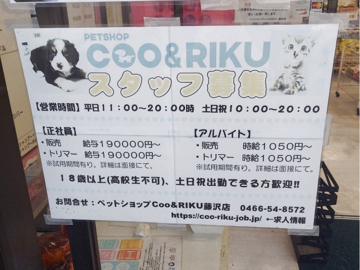 神奈川県 ペットショップ トリマーのアルバイト パート求人情報 Joblist ジョブリスト スマホであつめる みんなの街の求人はり紙