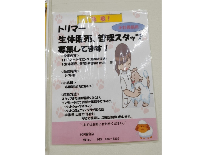 Pcp 落合店のアルバイト パート求人情報 Joblist ジョブリスト スマホであつめる みんなの街の求人はり紙