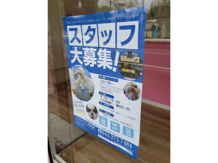 神奈川県 ペットショップ トリマーのアルバイト パート求人情報 Joblist ジョブリスト スマホであつめる みんなの街の求人はり紙