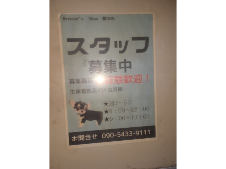 相模大塚駅 ペットショップ トリマーのアルバイト パート求人情報 Joblist ジョブリスト スマホであつめる みんなの街の求人はり紙