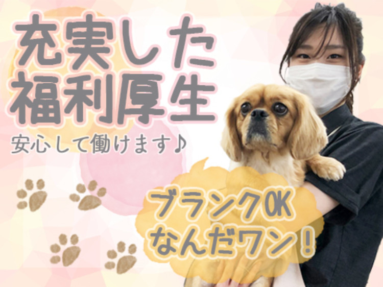 ジョイフルエーケー 帯広店のアルバイト パート求人情報 Joblist ジョブリスト スマホであつめる みんなの街の求人はり紙