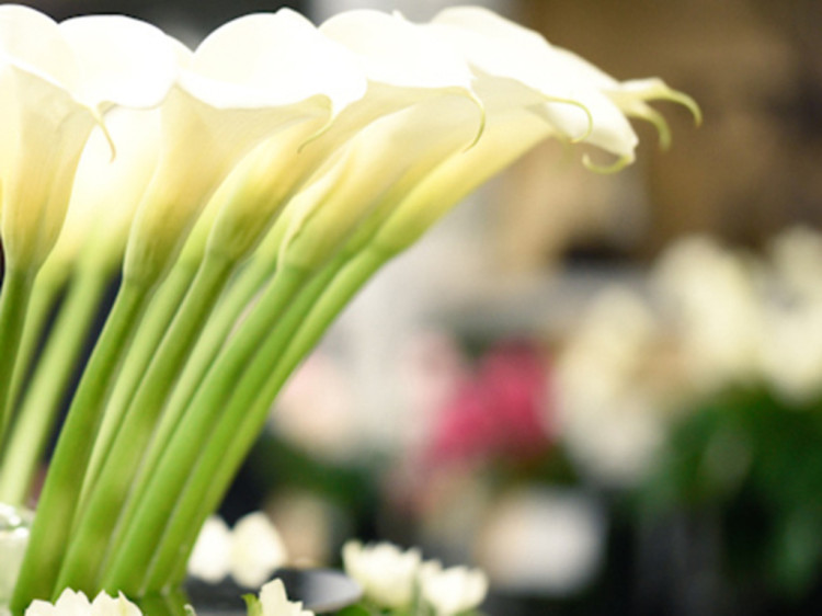 株式会社ユー花園 国立府中支社 のアルバイト パート求人情報 Joblist ジョブリスト 全国のアルバイト求人情報サイト