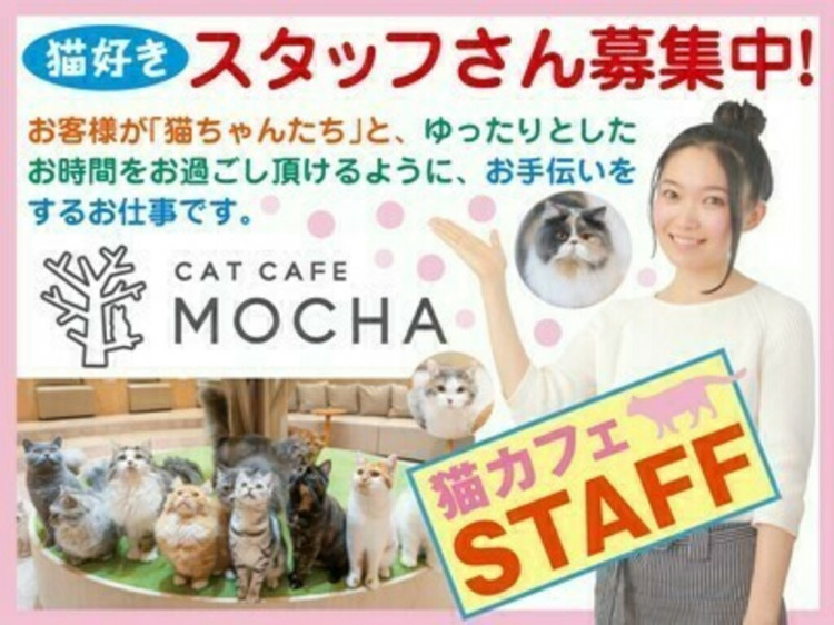 猫カフェ Mocha 宮崎店のアルバイト パート求人情報 Joblist ジョブリスト 全国のアルバイト求人情報サイト