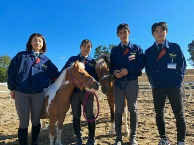 両備乗馬クラブ・クレイン岡山のアルバイト・パート求人情報 | JOBLIST 