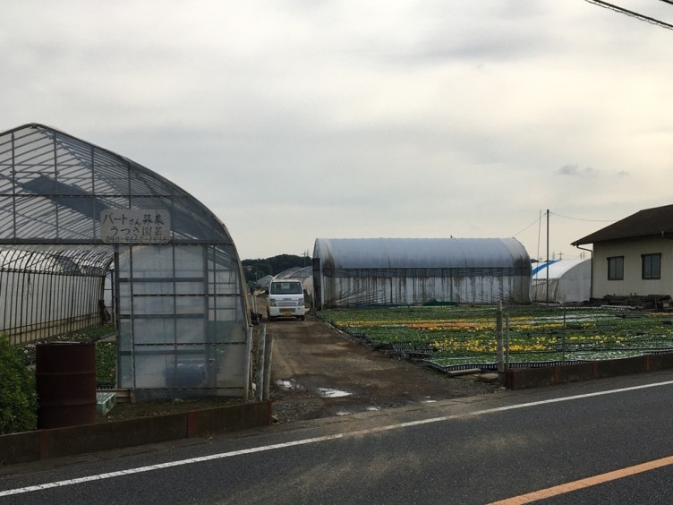 宇津木園芸のアルバイト パート求人情報 Joblist ジョブリスト スマホであつめる みんなの街の求人はり紙