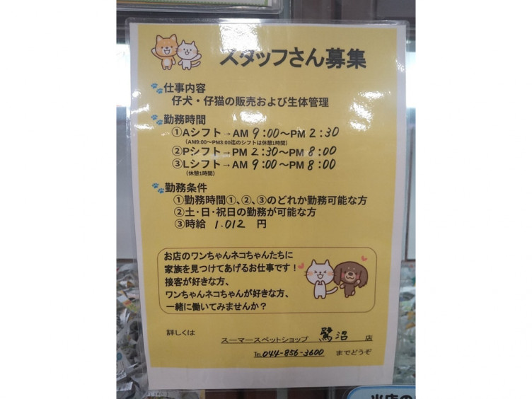 スーマースペットショップ 鷺沼店のアルバイト パート求人情報 Joblist ジョブリスト スマホであつめる みんなの街の求人はり紙