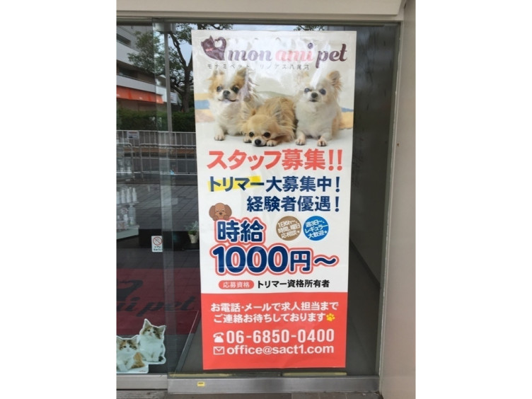 センチュリーペット リノアス八尾店のアルバイト パート求人情報 Joblist ジョブリスト スマホであつめる みんなの街の求人はり紙