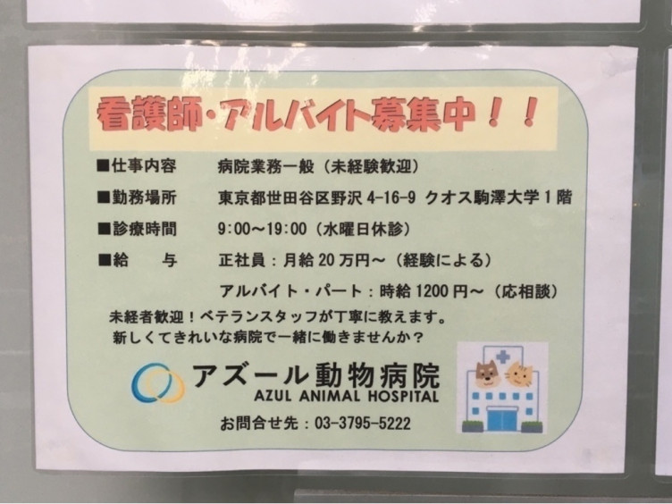 アズール動物病院のアルバイト パート求人情報 Joblist ジョブリスト スマホであつめる みんなの街の求人はり紙