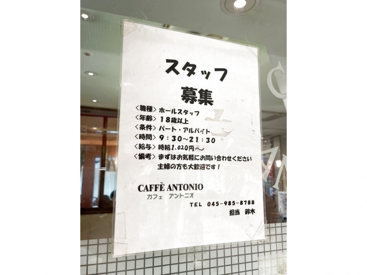 カフェ アントニオ 青葉台東急スクエア店のアルバイト パート求人情報 Joblist ジョブリスト スマホであつめる みんなの街の求人はり紙 カフェ アントニオ 青葉台東急スクエア店のアルバイト パート求人情報 Joblist ジョブリスト スマホであつめる みんなの街の求人はり紙