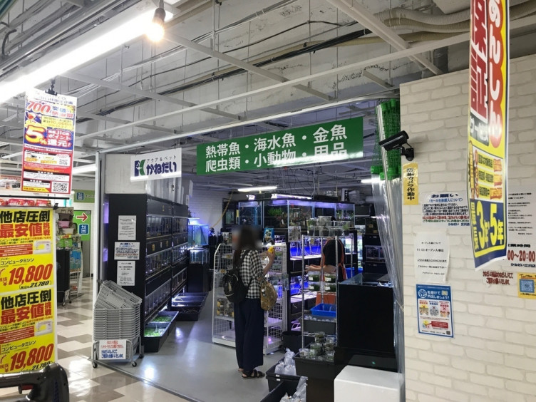 かねだい立川店のアルバイト パート求人情報 Joblist ジョブリスト スマホであつめる みんなの街の求人はり紙