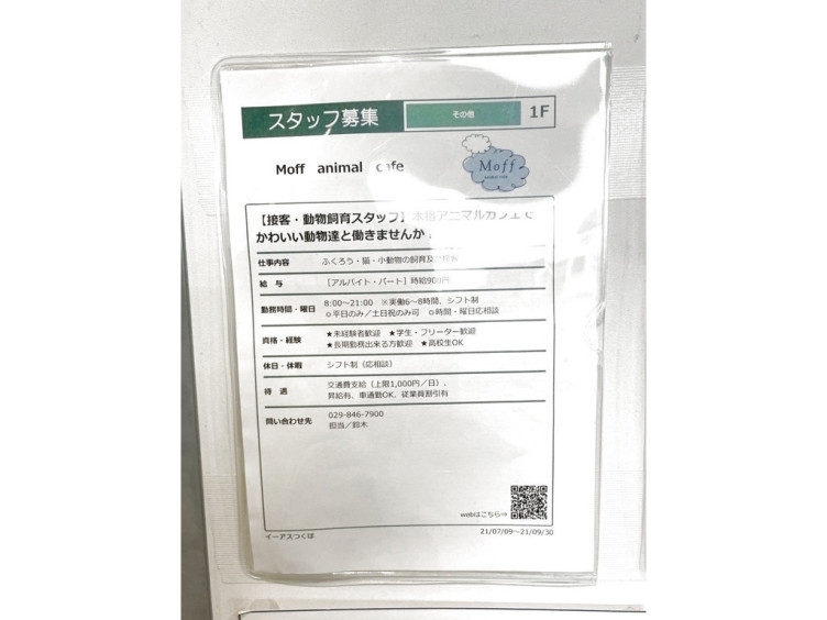 モフ アニマル カフェ イーアス つくば店のアルバイト パート求人情報 Joblist ジョブリスト スマホであつめる みんなの街の求人はり紙